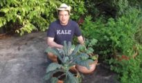 10 Tips for Growing Kale