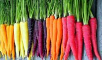 Get the Most Out of Your Carrot Harvest: Growing and Harvesting Tips