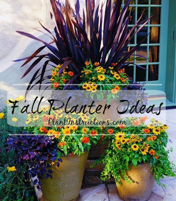 13 Fall Container Ideas You Need to Copy ASAP