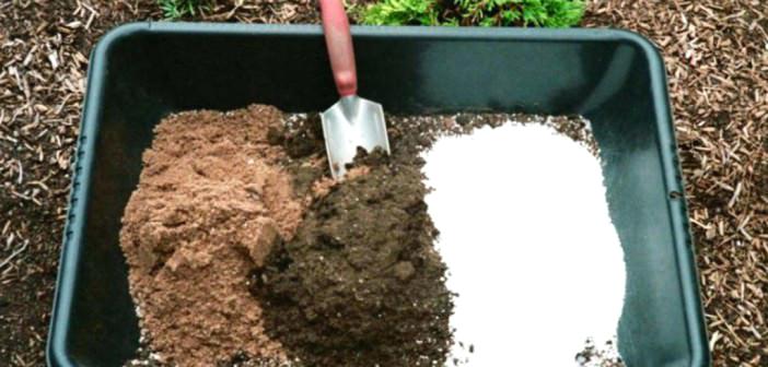 How to Make Soilless Potting Mix