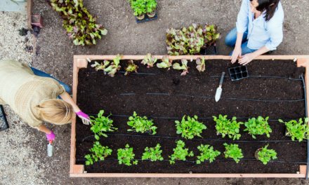 Sustainable Gardening Practices: Conserving Water and Reducing Waste
