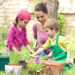 The Therapeutic Benefits of Gardening: How It Can Improve Your Mental and Physical Health